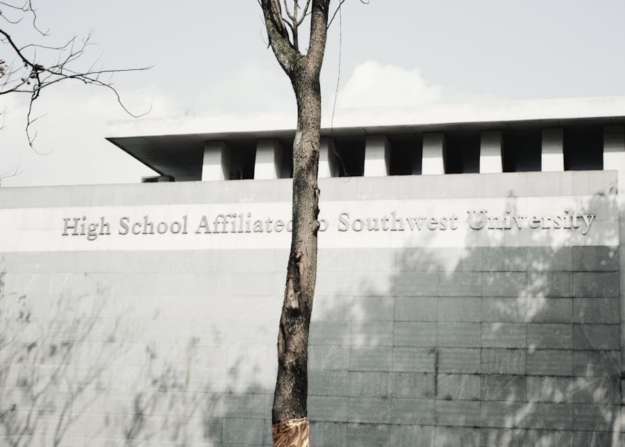 Self-Defense School