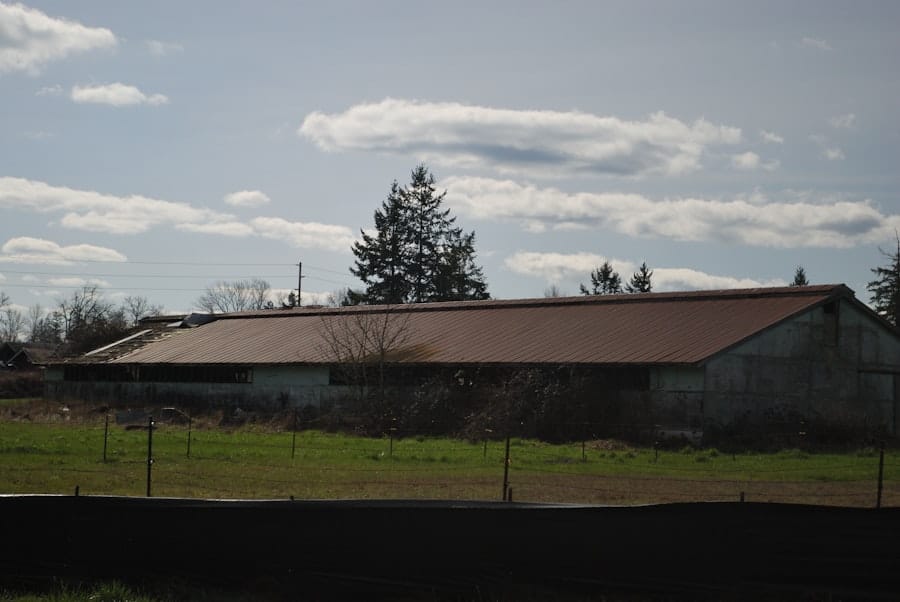 Photo Self-Defense School Keizer Oregon