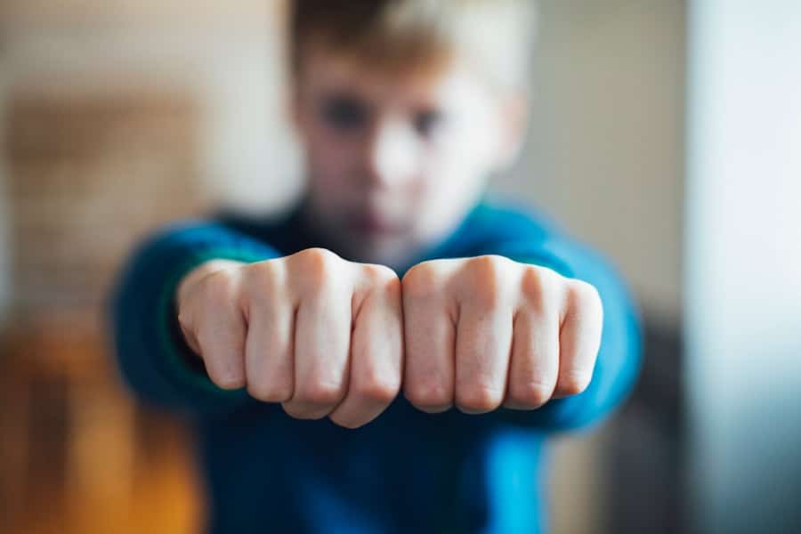 Photo Self-Defense School